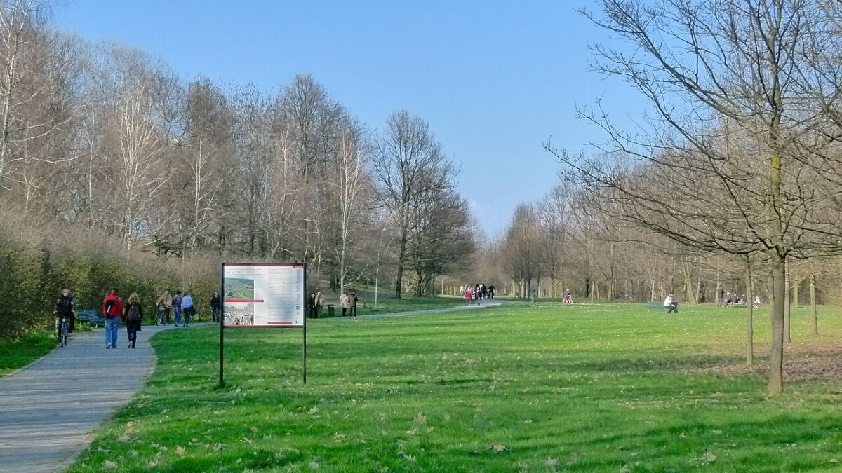 la pedemontana lombarda minaccia il bosco simbolo del disastro di seveso la societ224 tutte le norme rispettate gli attivisti devastazione ambientale da Ilfattoquotidiano.it la pedemontana lombarda minaccia il bosco simbolo del disastro di seveso la societ224 tutte le norme rispettate gli attivisti devastazione ambientale