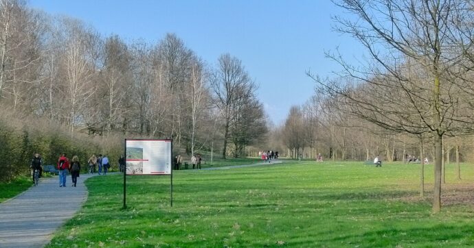 La Pedemontana lombarda minaccia il bosco simbolo del disastro di Seveso. La società: “Tutte le norme rispettate”. Gli attivisti: “Devastazione ambientale”