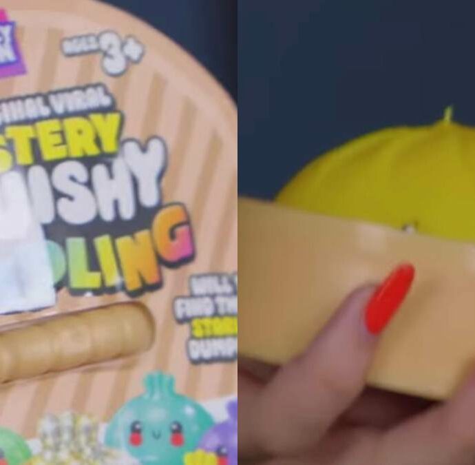 “Attenzione ai falsi Squeezy Dumplings, possono contenere benzene e mettere a rischio la salute dei vostri figli”: l’allarme dopo il ritiro di alcuni lotti contraffatti nel Regno Unito