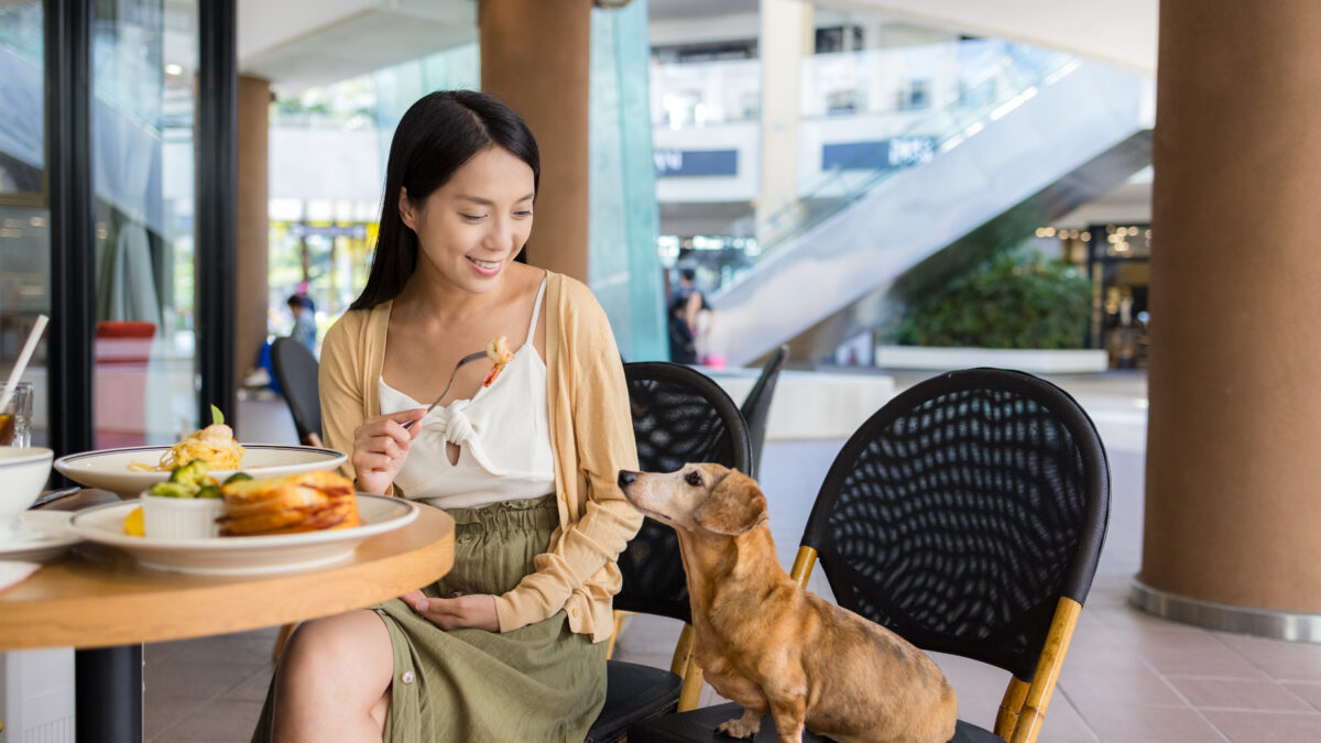 Rivoluzione a Hong Kong: i cani possono entrare nei ristoranti insieme ai loro proprietari (e la loro carne è vietata nei menù)