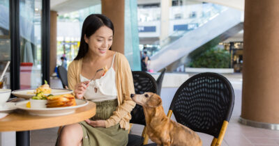 Copertina di Rivoluzione a Hong Kong: i cani possono entrare nei ristoranti insieme ai loro proprietari (e la loro carne è vietata nei menù)