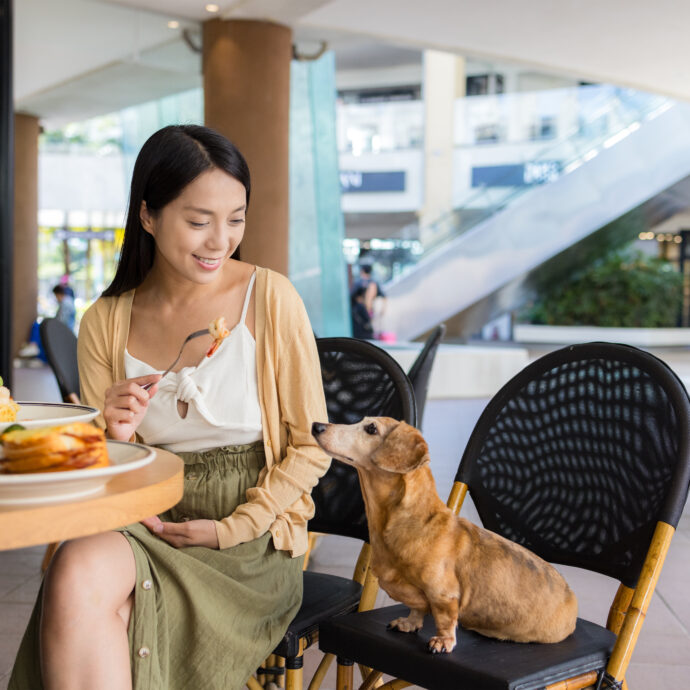 Rivoluzione a Hong Kong: i cani possono entrare nei ristoranti insieme ai loro proprietari (e la loro carne è vietata nei menù)