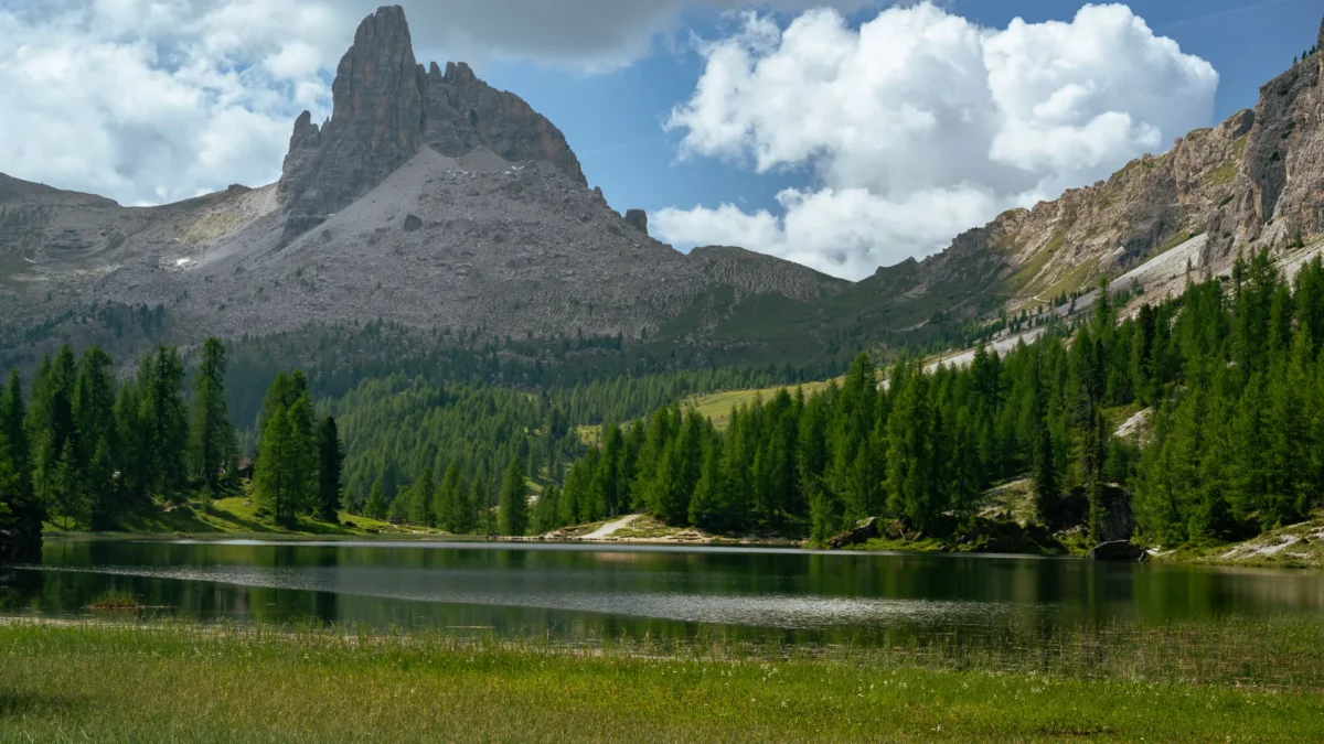 Piante rare, licheni e ghiacciai in ritirata: il Dolomia Biodiversity Award ai giovani ricercatori che studiano come salvare la biodiversità alpina