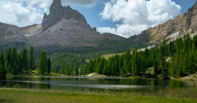 Copertina di Piante rare, licheni e ghiacciai in ritirata: il Dolomia Biodiversity Award ai giovani ricercatori che studiano come salvare la biodiversità alpina