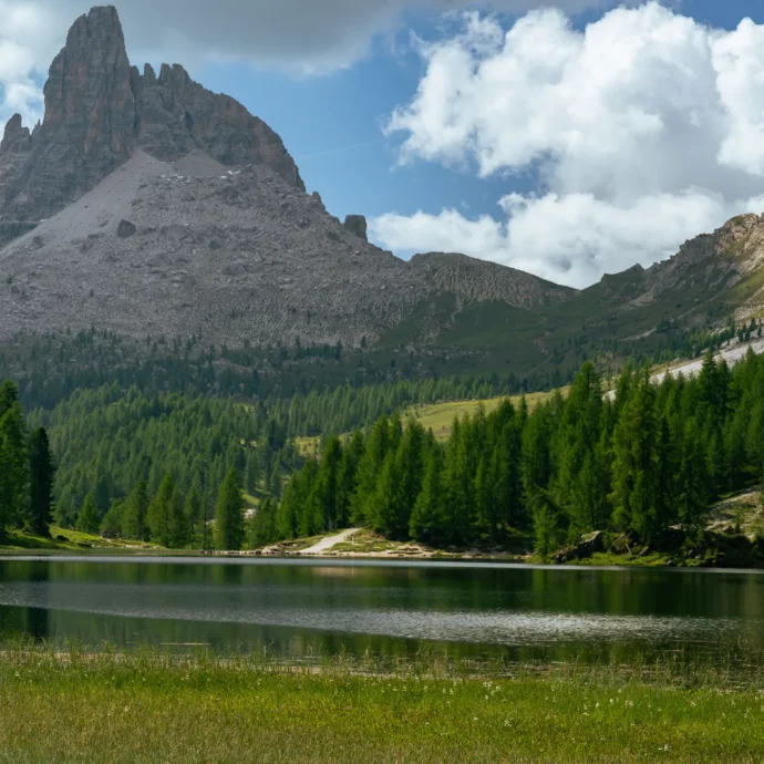 Piante rare, licheni e ghiacciai in ritirata: il Dolomia Biodiversity Award ai giovani ricercatori che studiano come salvare la biodiversità alpina