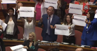 "Imbullonati": protesta del M5s al Senato. Il gruppo espone cartelli contro il governo