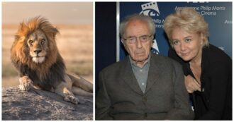 “Mio marito Michelangelo Antonioni si è reincarnato in un leone, l’ho ritrovato in Maremma. L’ho chiamato Mihal, ha lo stesso sguardo magnetico: parliamo con gli occhi come ho fatto per 22 anni con lui dopo l’ictus”