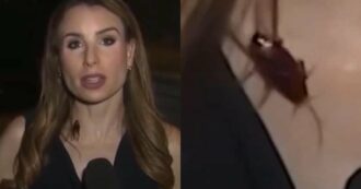 Un enorme scarafaggio le cammina sul collo mentre è in diretta: la giornalista resta impassibile davanti alle telecamere, poi la reazione sorprende tutti