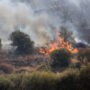 Copertina di Incendi boschivi, in Italia già andati in fumo oltre 13mila campi da calcio: aumento del 36% nel 2026 | Il rapporto di Legambiente