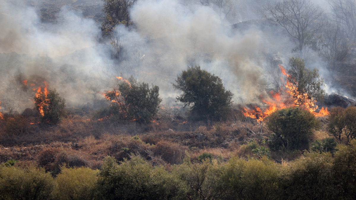 incendi boschivi in italia gi224 andati in fumo oltre 13mila campi da calcio aumento del 36 nel 2026 il rapporto di legambiente da Ilfattoquotidiano.it incendi boschivi in italia gi224 andati in fumo oltre 13mila campi da calcio aumento del 36 nel 2026 il rapporto di legambiente