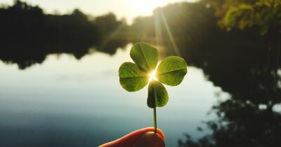 Copertina di “Dopo la morte di mio padre ho trovato sempre un quadrifoglio al giorno, sono a oltre 1.091 giorni consecutivi, c’era una possibilità su 10 mila che accadesse. Questo miracolo per me è un segno”: la storia di Walter Jenkins Jr