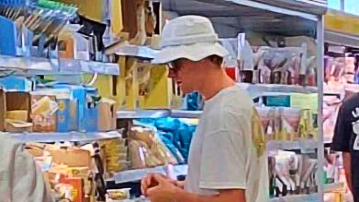sinner va al discount in sardegna lo stupore dei dipendenti 200 stata una bellissima sorpresa 232 stato gentilissimo da Ilfattoquotidiano.it sinner va al discount in sardegna lo stupore dei dipendenti 200 stata una bellissima sorpresa 232 stato gentilissimo