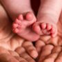 Copertina di Rarissima incompatibilità madre-feto “battuta” al Sant’Anna di Torino: 30enne partorisce un bimbo