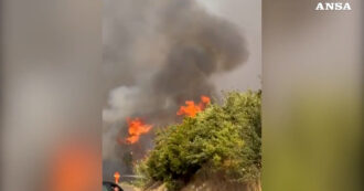 Vasto incendio tra Nuorese e Oristanese: in fumo 500 ettari. Il sindaco di Noragugume: "Paesaggio lunare"