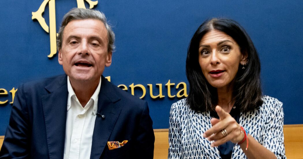 Sanzioni e divieti: Calenda e Picierno a caccia di filorussi