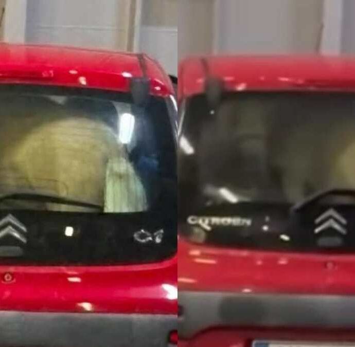 “Com’è possibile che nessuno abbia fermato quel veicolo prima dell’imbarco?”: pony chiuso nel bagagliaio di un’auto sul traghetto per Ischia