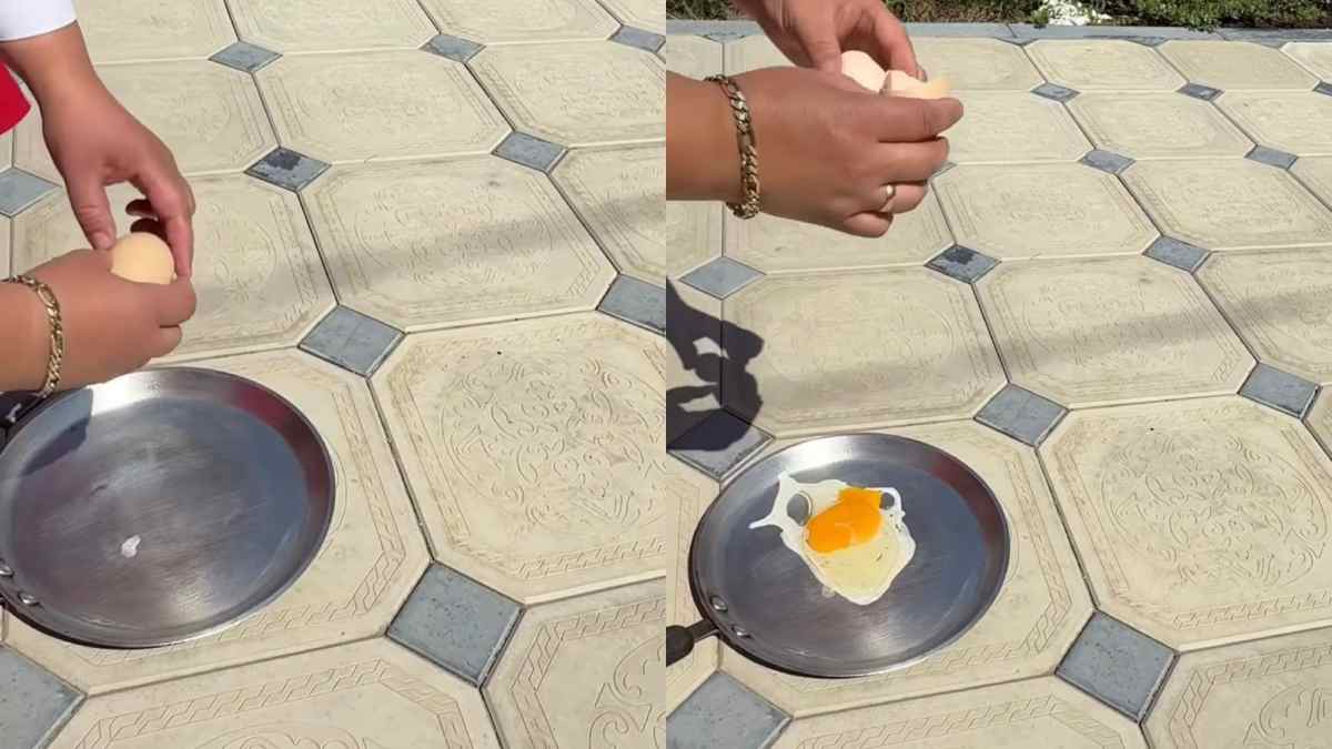 il termometro sfiora i 49 gradi le immagini delle uova cotte al sole fanno il giro del web da Ilfattoquotidiano.it il termometro sfiora i 49 gradi le immagini delle uova cotte al sole fanno il giro del web