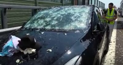 Copertina di “I vetri sono schizzati dappertutto”: violenta grandinata sulla A13, automobilisti costretti a fermarsi e auto danneggiate