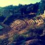 Copertina di Falso anfiteatro romano: quando la realtà supera i film di Totò