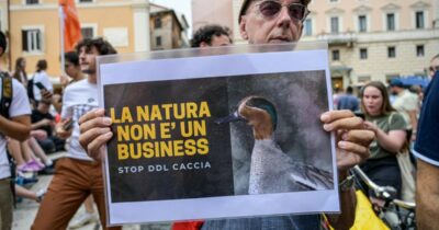 Copertina di Perché alcune leggi volano e altre restano ferme per anni? Il caso del ddl Caccia e gli interessi di pochi