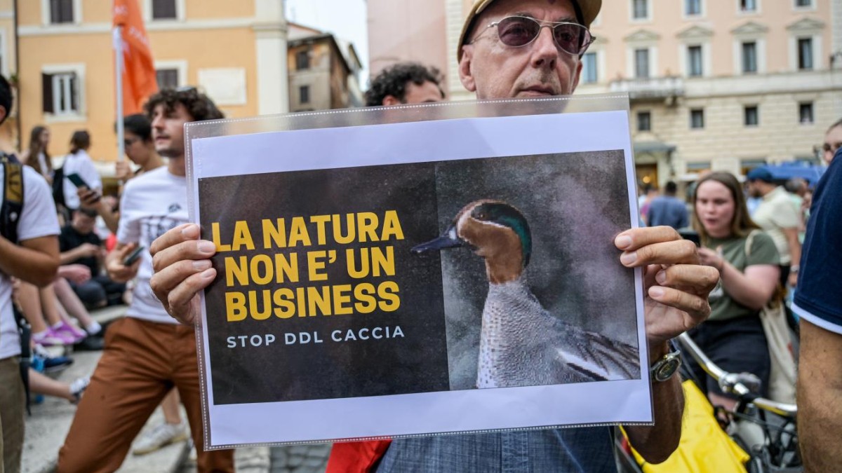 perch233 alcune leggi volano e altre restano ferme per anni il caso del ddl caccia e gli interessi di pochi da Ilfattoquotidiano.it perch233 alcune leggi volano e altre restano ferme per anni il caso del ddl caccia e gli interessi di pochi