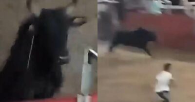 Copertina di Toro riesce a raggiungere gli spalti e scatena il caos tra la folla: attimi di terrore alla Corrida di Castilla