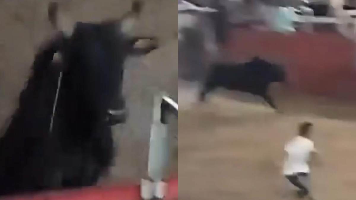 Toro riesce a raggiungere gli spalti e scatena il caos tra la folla: attimi di terrore alla Corrida di Castilla