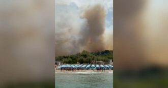 Fiamme nel Gargano, il video delle persone in fila per essere evacuate sulle barche via mare