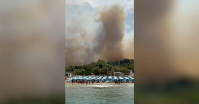 Copertina di Fiamme nel Gargano, il video delle persone in fila per essere evacuate sulle barche via mare