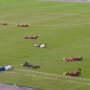 Copertina di Tutti giù per terra, dai calciatori all’arbitro: terrore in campo per l’invasione di uno sciame d’api. Perché sdraiarsi non è la tecnica raccomandata