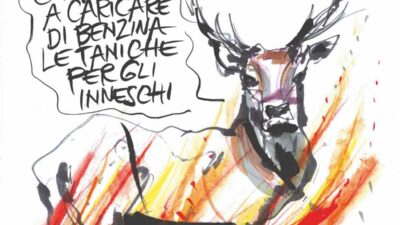 Copertina di La vignetta di Mora