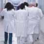 Copertina di Colesterolo sotto processo? “Eppure non è per forza cattivo”: il prof Ursini smonta i falsi miti (e cosa c’entrano statine e marketing farmaceutico)