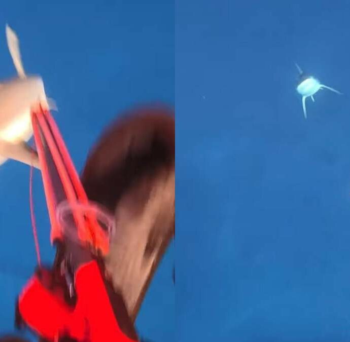 “Posto sbagliato, momento sbagliato: non ho nessun rancore verso lo squalo”: viene attaccato mentre pesca in apnea, il video impressionante dell’aggressione