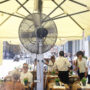 Copertina di Quarta ondata di calore in Italia: temperature fino a 7 gradi sopra la media e notti tropicali. L’esperto: “Potrebbe non essere l’ultima”