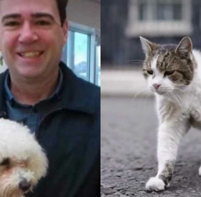 Axel, il cane del nuovo premier Andy Burnham non può vivere a Downing Street: ecco perché e dove resterà