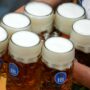 Copertina di Meno birra nel mondo: la produzione crolla in Germania, in Italia cresce l’analcolica trainata dalla Gen Z