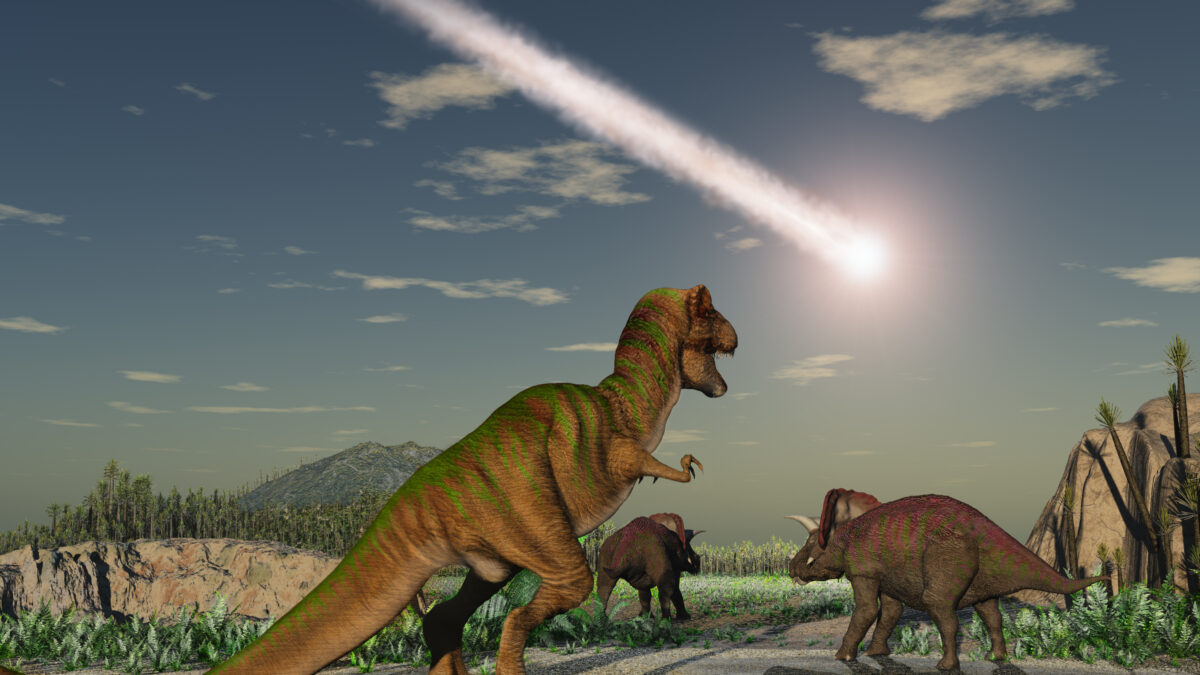 non 232 stato un asteroide a far estinguere i dinosauri ma una coltre di polvere che fece l8217effetto forno 8216arrostendo8217 la terra i nuovi studi riscrivono la storia da Ilfattoquotidiano.it non 232 stato un asteroide a far estinguere i dinosauri ma una coltre di polvere che fece l8217effetto forno 8216arrostendo8217 la terra i nuovi studi riscrivono la storia