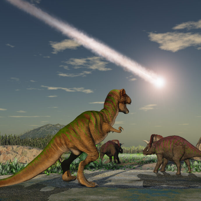 “Non è stato un asteroide a far estinguere i dinosauri, ma una coltre di polvere che fece l’effetto forno ‘arrostendo’ la Terra”: i nuovi studi riscrivono la Storia