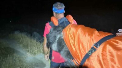 Copertina di “Aiuto, il nostro cane è troppo stanco e non ce la fa più a camminare”: il Soccorso Alpino lo porta in salvo in barella