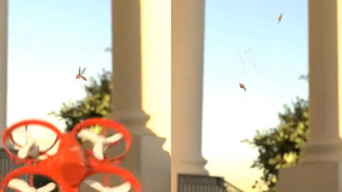 arriva il drone ammazza zanzare individua gli esemplari che punzecchiano e trasmettono malattie e li abbatte in volo da Ilfattoquotidiano.it arriva il drone ammazza zanzare individua gli esemplari che punzecchiano e trasmettono malattie e li abbatte in volo