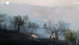 Copertina di Incendi in Grecia, 8mila persone evacuate durante la notte a Creta: “Situazione fuori controllo”
