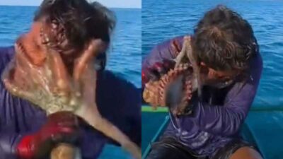 Copertina di Un pescatore cattura un polpo, ma tra i due scoppia la “rissa”. Le immagini della lotta diventano virali