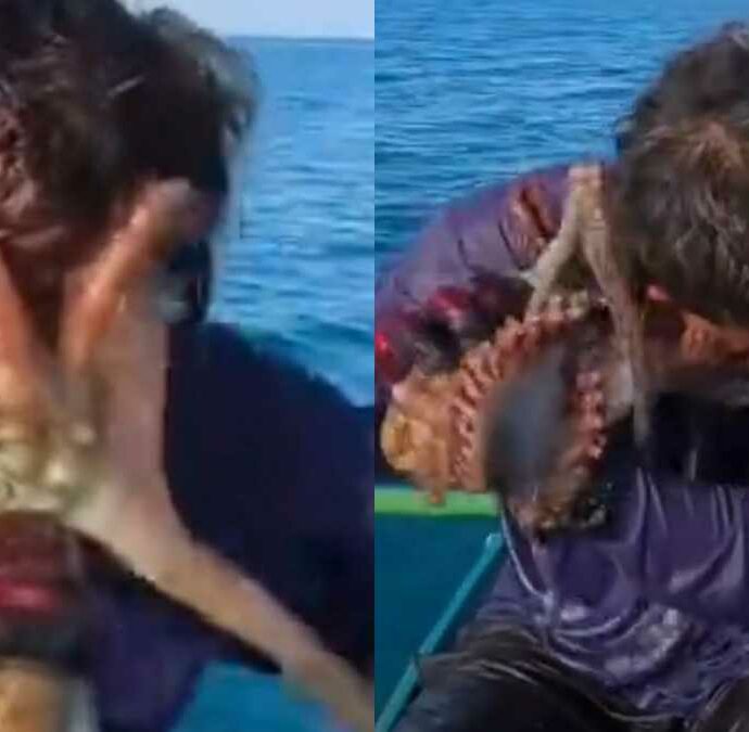 Un pescatore cattura un polpo, ma tra i due scoppia la “rissa”. Le immagini della lotta diventano virali