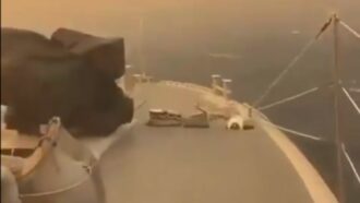 Copertina di A Creta i turisti scappano dai roghi a bordo della Guardia Costiera: 31 persone evacuate