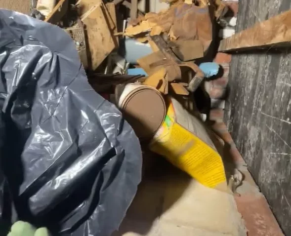“C’era un fetore insopportabile, come carne marcia immersa nel latte andato a male. Poi ho visto due orbite e un muso”. La scoperta choc: trova un cimitero di animali mummificati nella casa ereditata dalla nonna