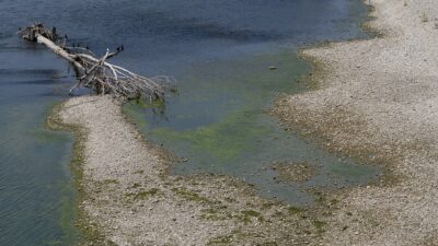Copertina di Si è tuffato nel Po per salvare la figlia e non è più riemerso: ritrovato il corpo del 34enne a Rovigo. È il secondo caso in 24 ore