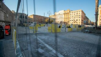 Tormentone alberi a Roma: la toppa della Giunta è peggiore del buco