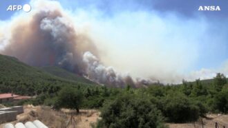 Copertina di La Grecia continua a bruciare, incendi alle porte di Atene: situazione critica per il forte vento – Video