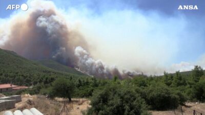 Copertina di La Grecia continua a bruciare, incendi alle porte di Atene: situazione critica per il forte vento – Video