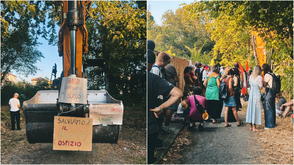 https://st.ilfattoquotidiano.it/wp-content/uploads/2026/08/03/bosco-ospizio-1200x675.jpg